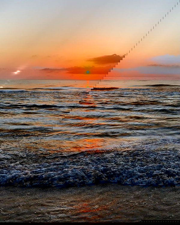 rebeccaschez rebeccaschez archive image