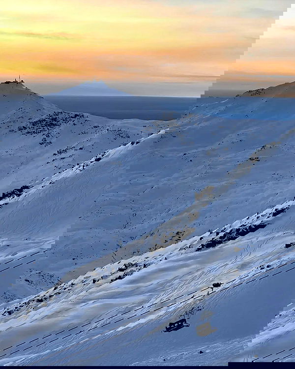 rebeccaschez rebeccaschez archive image