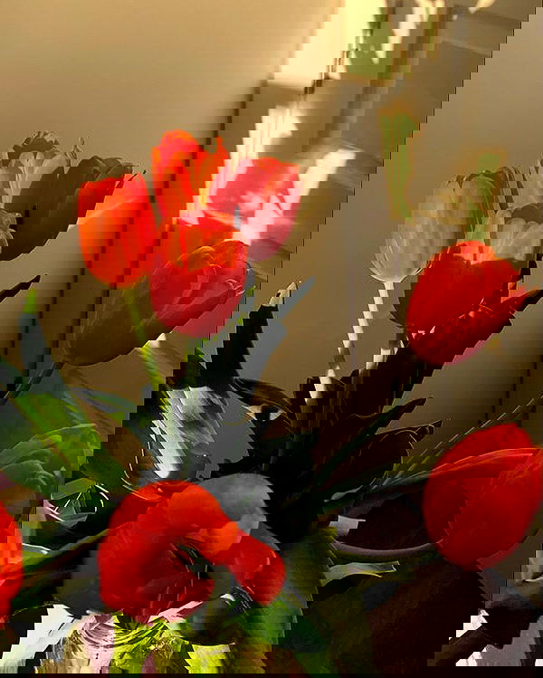 rebeccaschez rebeccaschez archive image