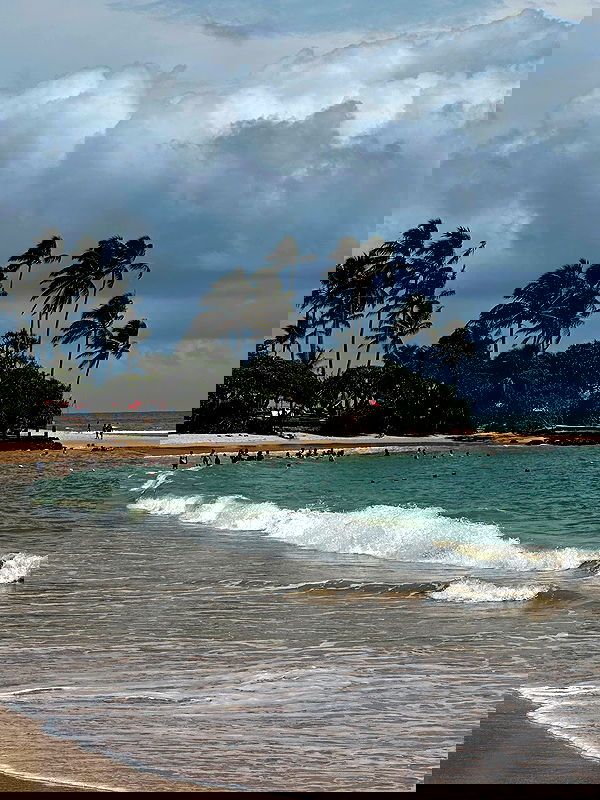 rebeccaschez rebeccaschez archive image