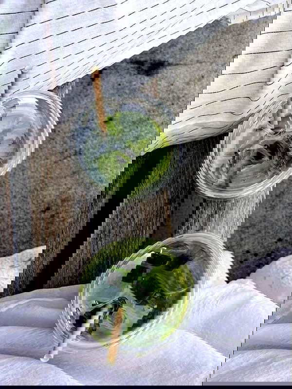 rebeccaschez rebeccaschez archive image