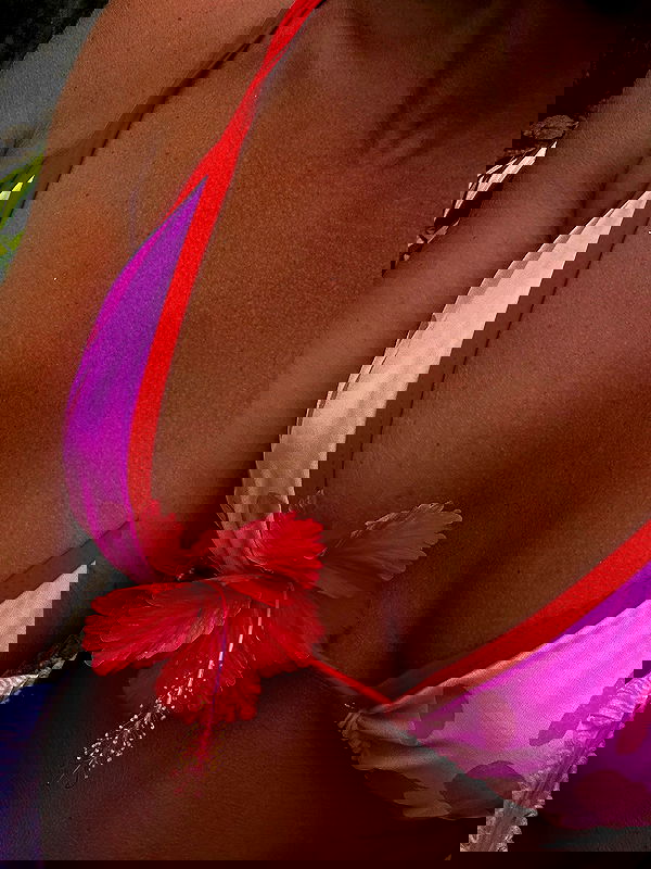 rebeccaschez rebeccaschez archive image