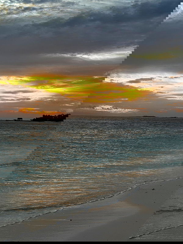 rebeccaschez rebeccaschez archive image