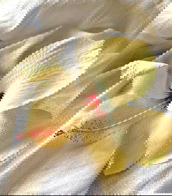 rebeccaschez rebeccaschez archive image