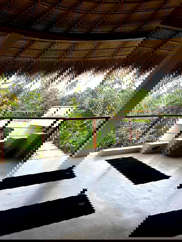 rebeccaschez rebeccaschez archive image