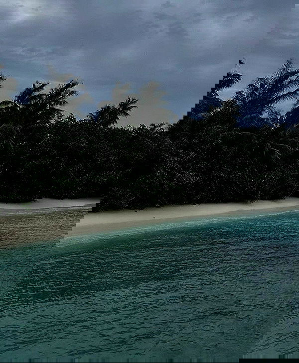 rebeccaschez rebeccaschez archive image