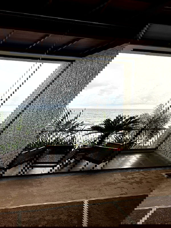 rebeccaschez rebeccaschez archive image