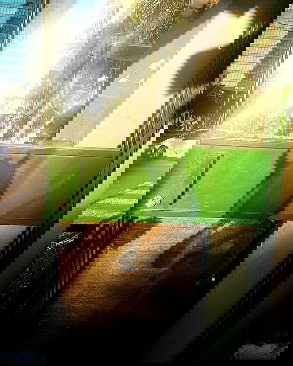 rebecka_tsadok rebecka_tsadok archive image