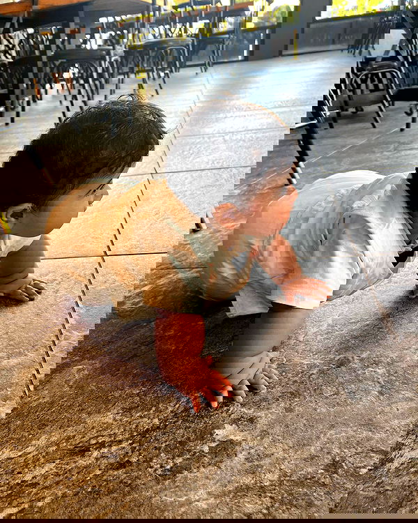 rebecka_tsadok rebecka_tsadok archive image