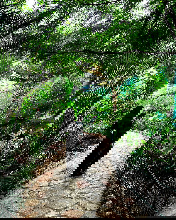 rebecka_tsadok rebecka_tsadok archive image