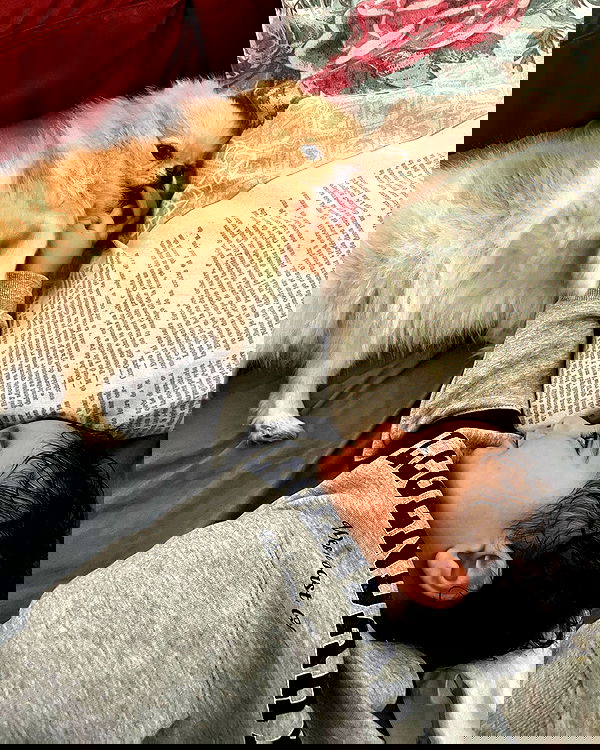 rebecka_tsadok rebecka_tsadok archive image