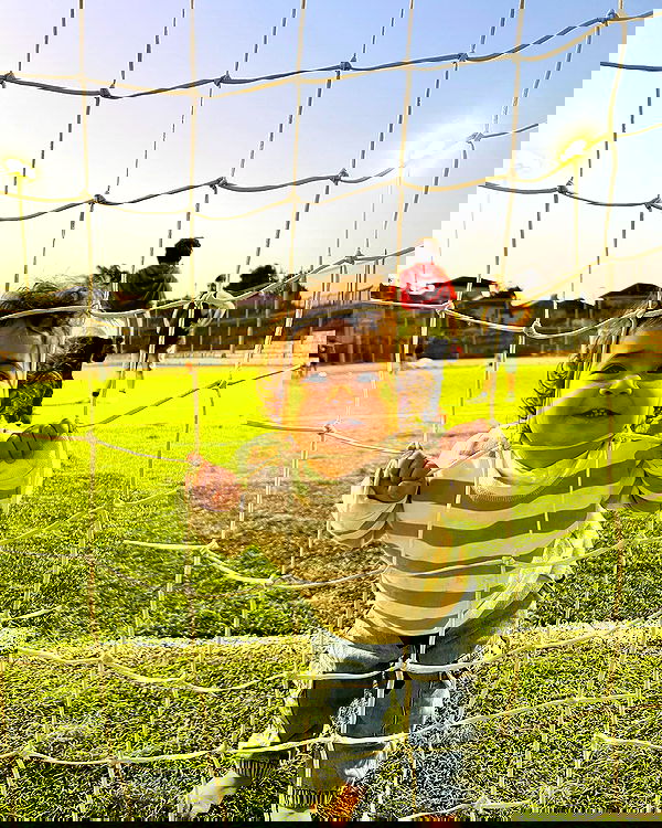 rebecka_tsadok rebecka_tsadok archive image