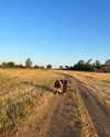 rebecka_tsadok Altpins Profile Picture