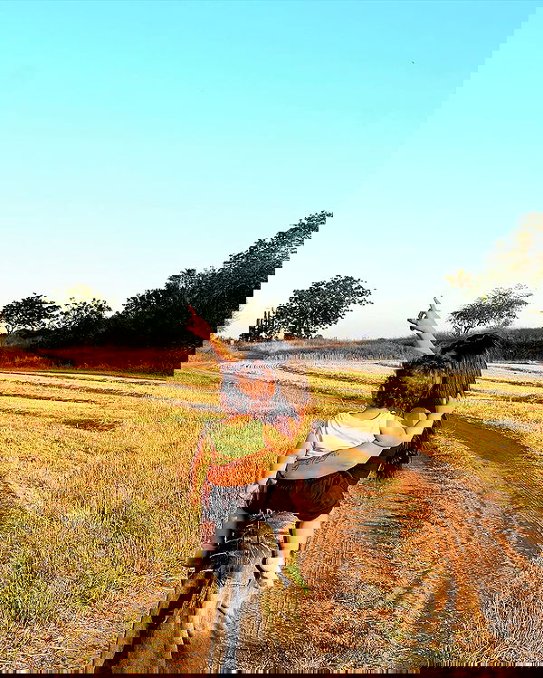 rebecka_tsadok rebecka_tsadok archive image