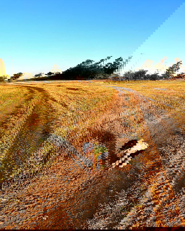 rebecka_tsadok rebecka_tsadok archive image