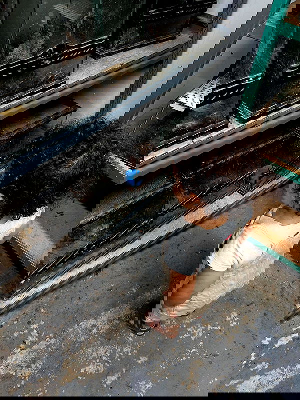 rebecka_tsadok rebecka_tsadok archive image