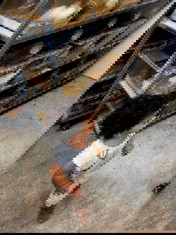 rebecka_tsadok rebecka_tsadok archive image