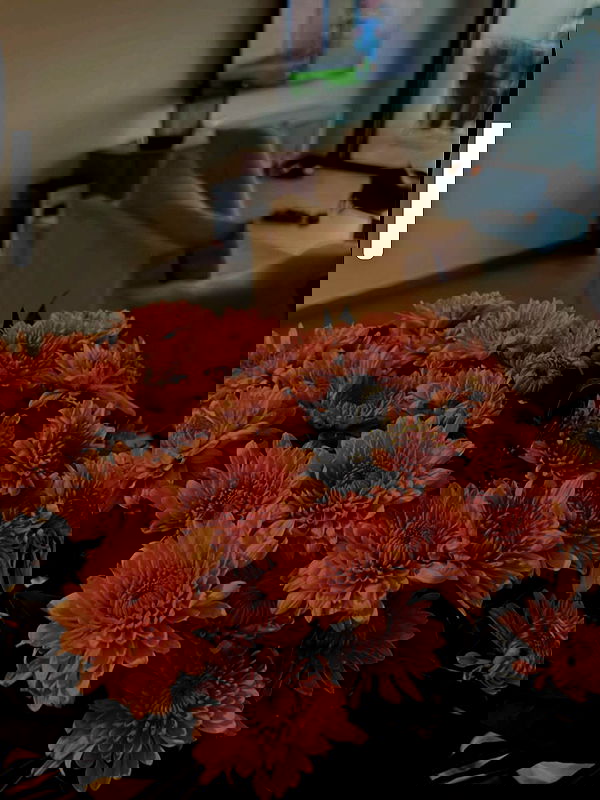 rebecka_tsadok rebecka_tsadok archive image