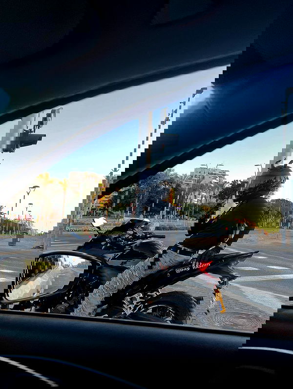 rebecka_tsadok rebecka_tsadok archive image