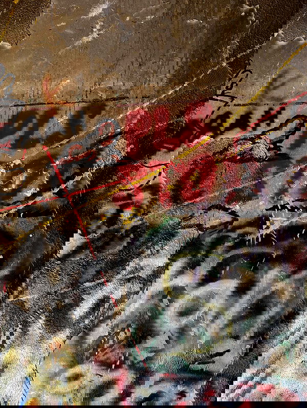 rebecka_tsadok rebecka_tsadok archive image