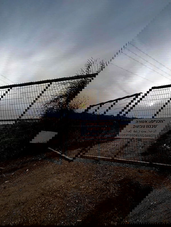 rebecka_tsadok rebecka_tsadok archive image