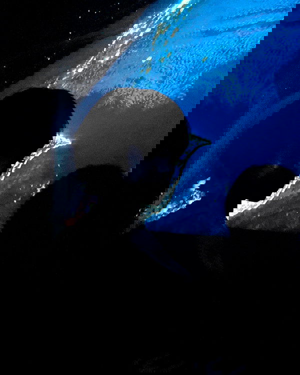 redroomromance redroomromance archive image