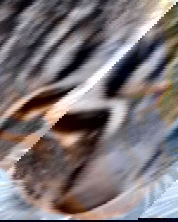 redroomromance redroomromance archive image