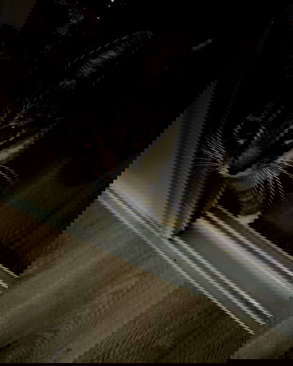 redroomromance redroomromance archive image