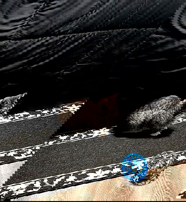 redroomromance redroomromance archive image