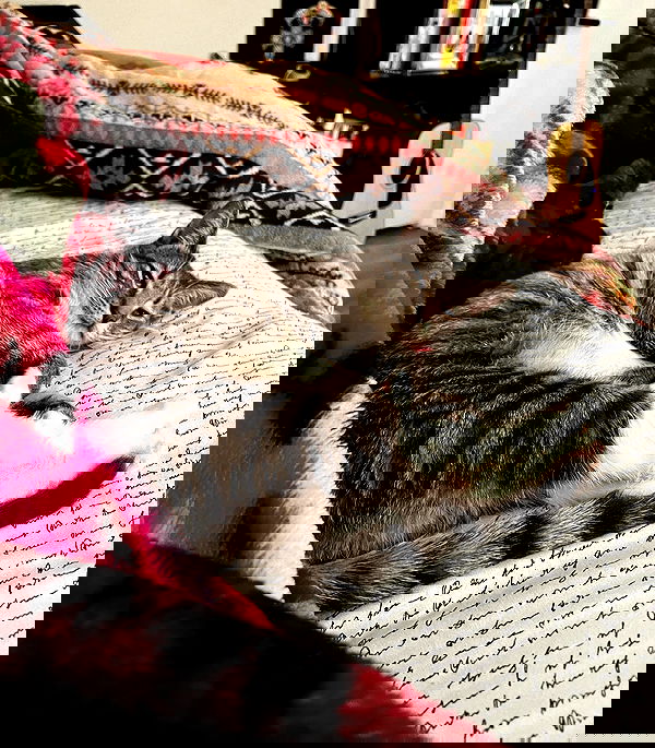 redroomromance redroomromance archive image