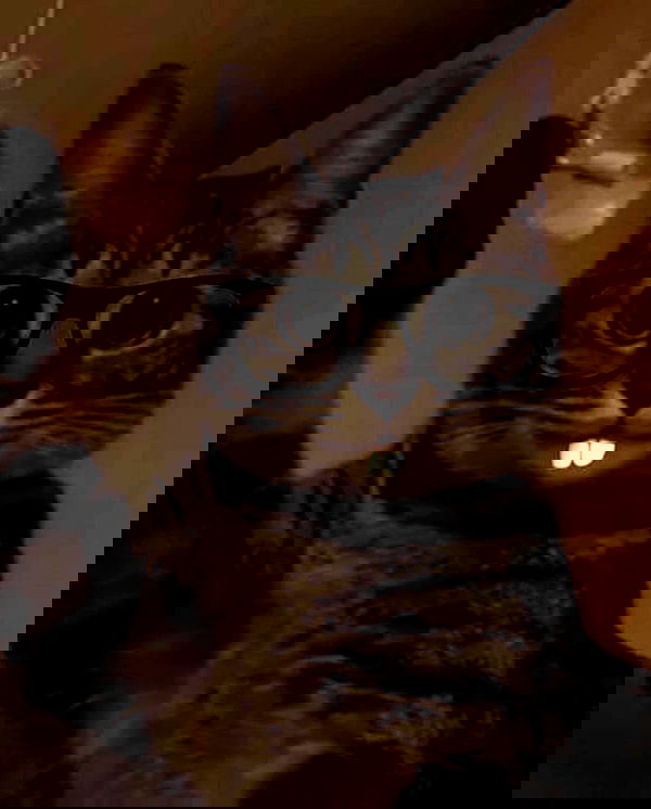 redroomromance redroomromance archive image