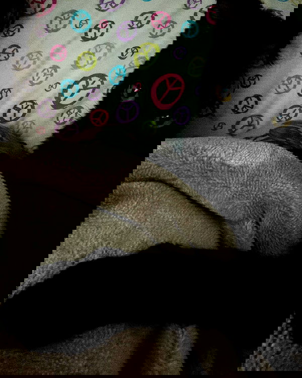 redroomromance redroomromance archive image