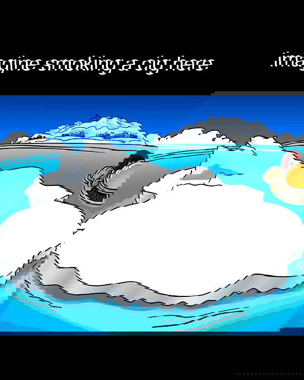 redroomromance redroomromance archive image