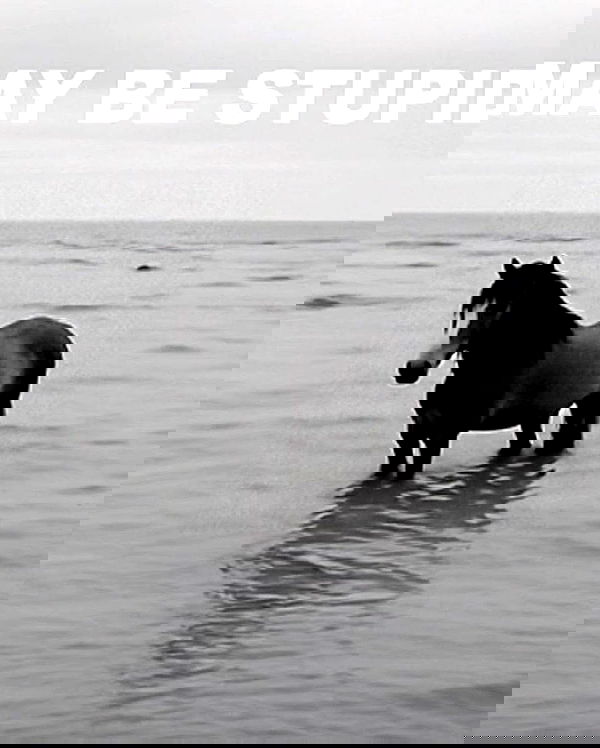 redroomromance redroomromance archive image