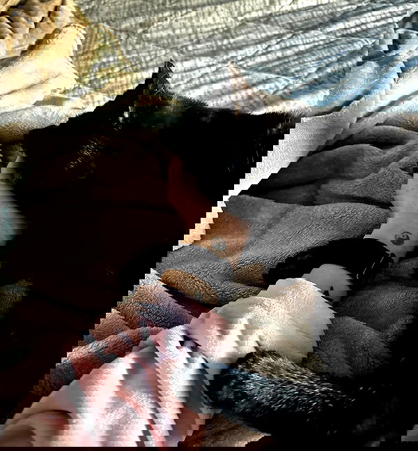 redroomromance redroomromance archive image