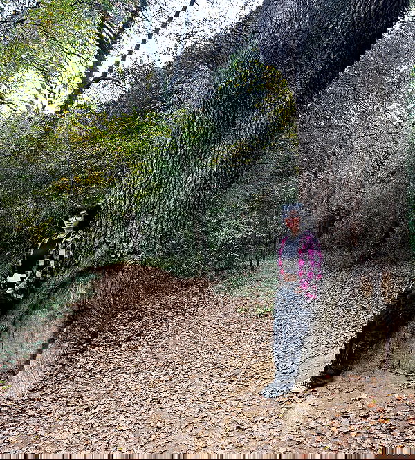 redroomromance redroomromance archive image