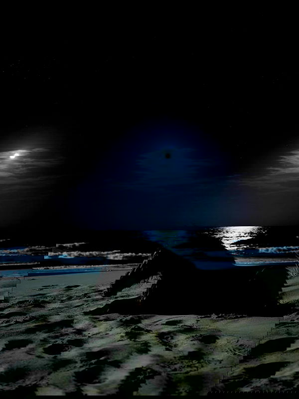 redroomromance redroomromance archive image