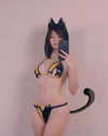 renhollister Altpins Profile Picture