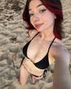 renhollister Altpins Profile Picture
