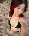 renhollister Altpins Profile Picture