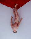 reno_gold Altpins Profile Picture
