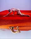 reno_gold Altpins Profile Picture