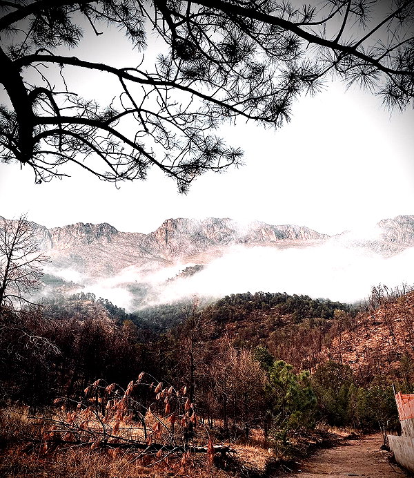 reverennce instagram image archive image