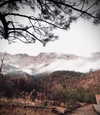 reverennce Altpins Profile Picture