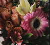 reverennce Altpins Profile Picture