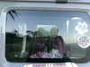 rhiannonmates Altpins Profile Picture