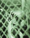 riaraexo Altpins Profile Picture