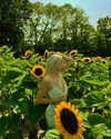 riaraexo Altpins Profile Picture