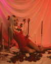 riaraexo Altpins Profile Picture