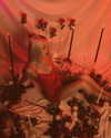 riaraexo Altpins Profile Picture